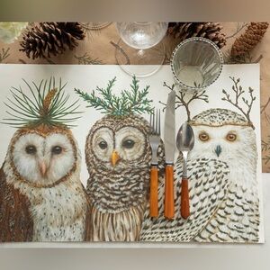 Hester & Cook Hester & Cook Winter Owls Placemat - 24 Sheets